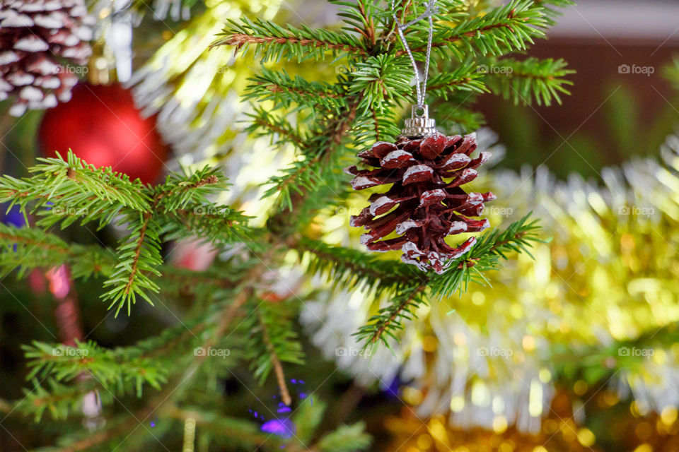 Decorating the Christmas tree