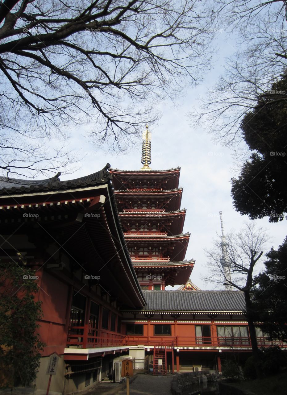 Asakusa Kannon, Tokyo, Japan. Sensoji Buddhist Temple and Gardens with Pagodas.