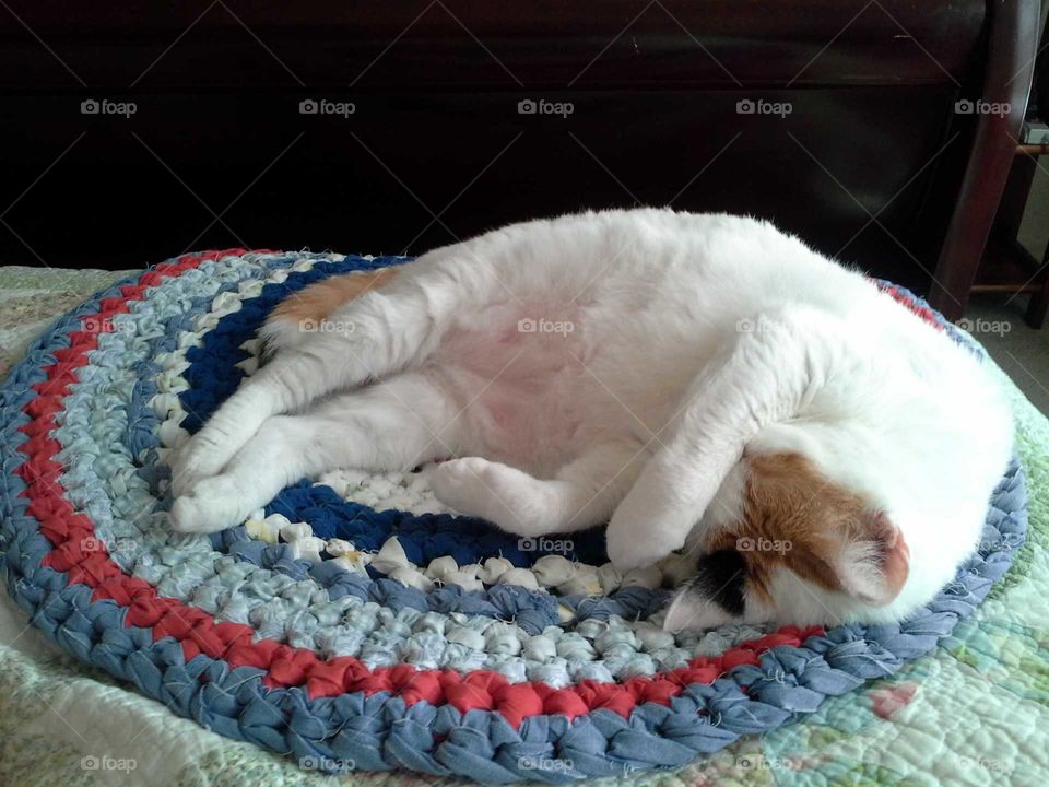 Marilyn on Red White and Blue