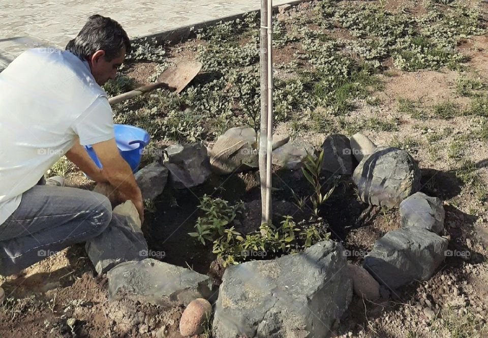 preparando las plantas en el jardín