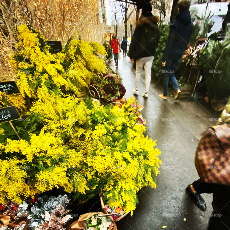 Mimosas at Christmas !