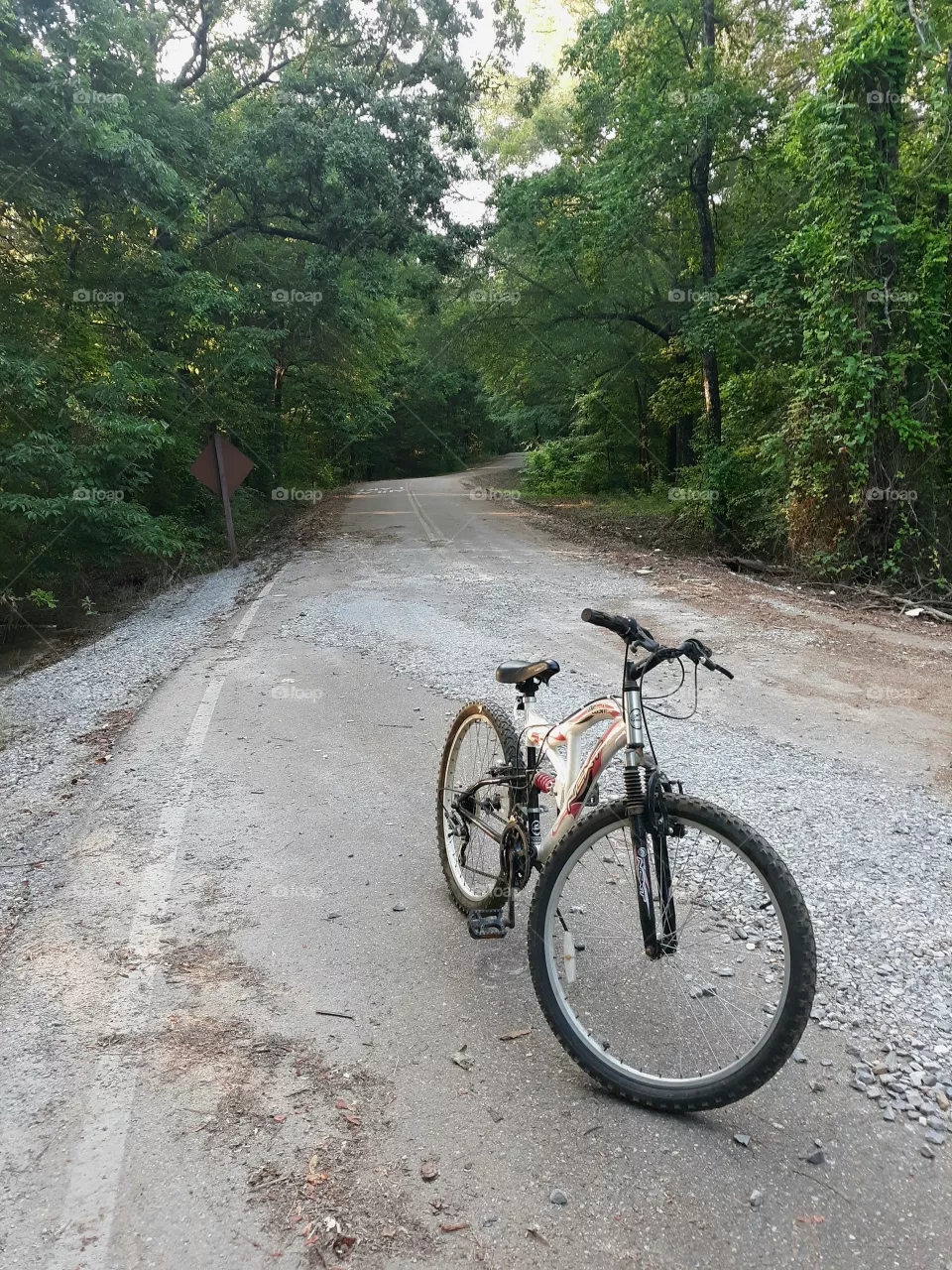 Bike Ride