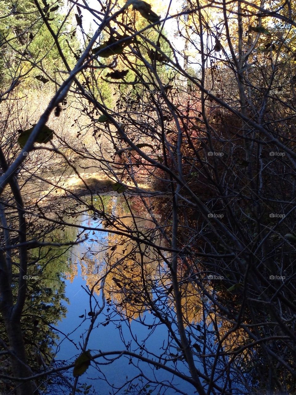 Reflective pond
