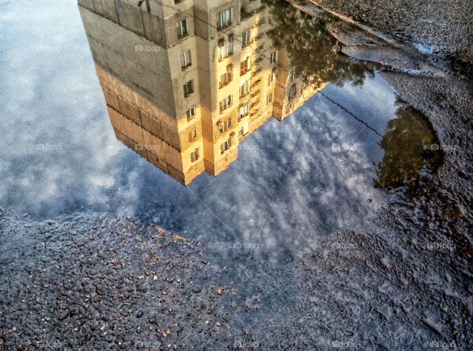 Отражение в луже reflection in a puddle