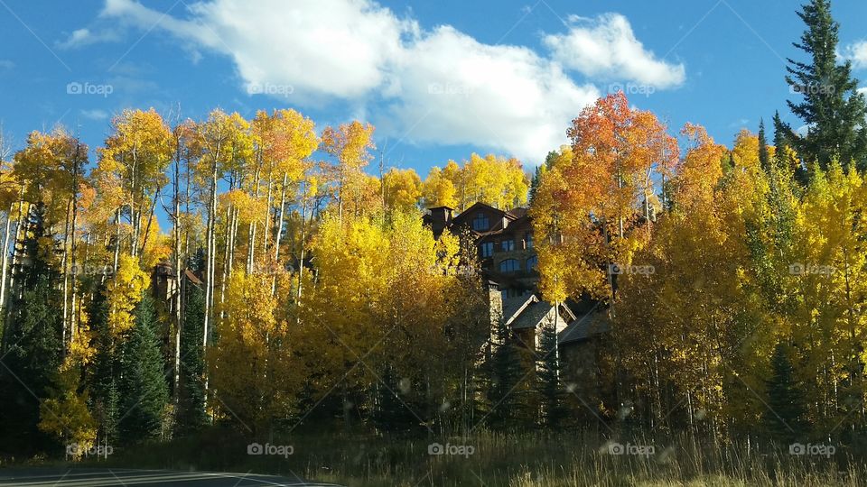 Fall in Southwest Colorado