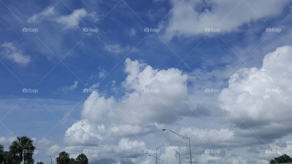 Cottony clouds hang in a bright, blue sky.