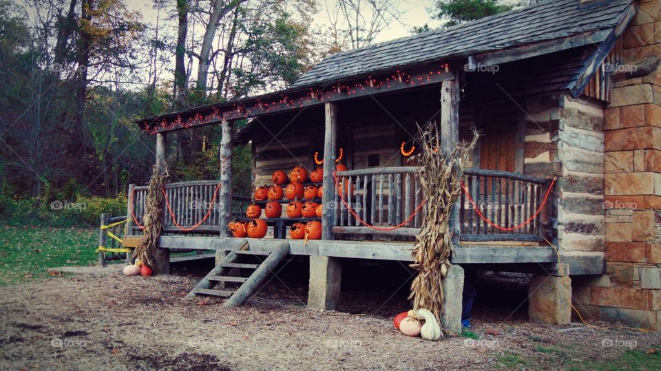 Fall cabin