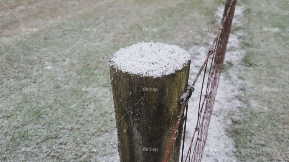 snow on fence