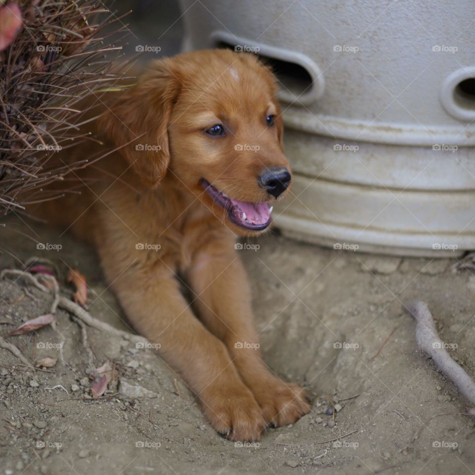 Digging in the dirt