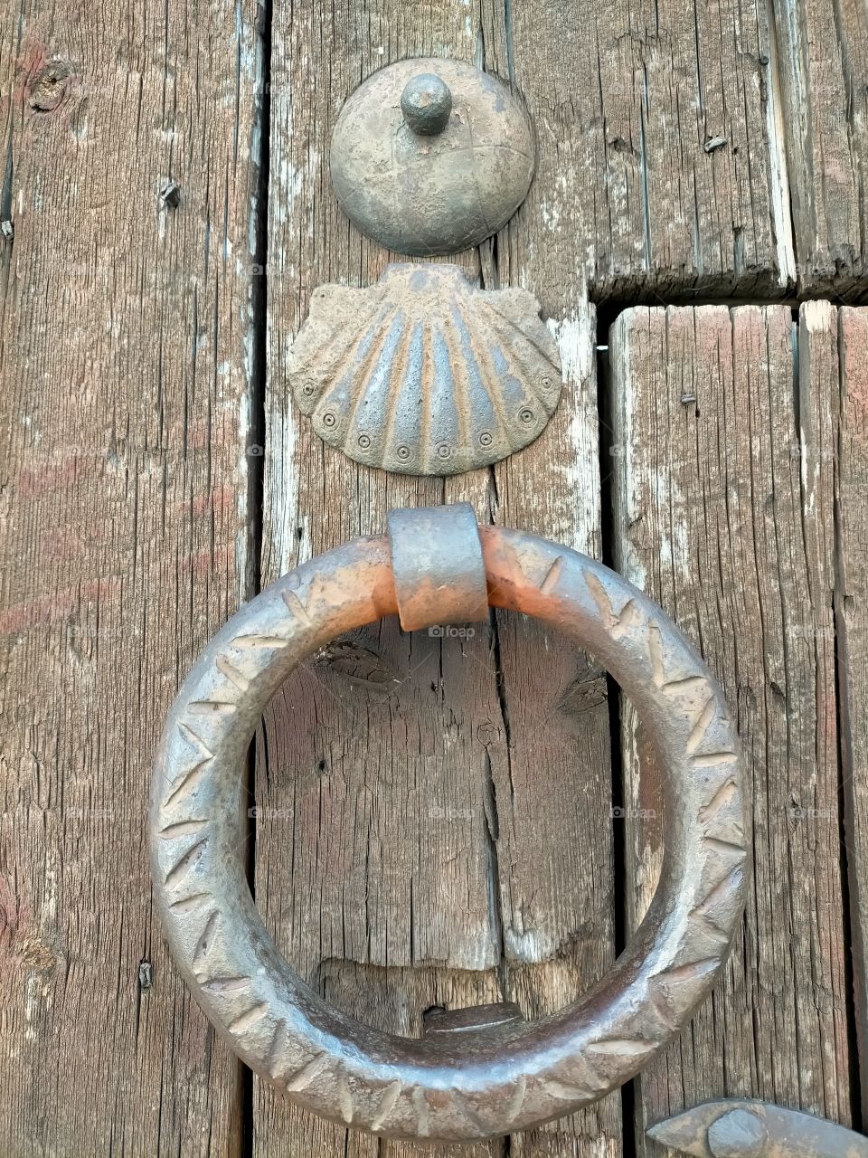 tirador, Concha y clavo