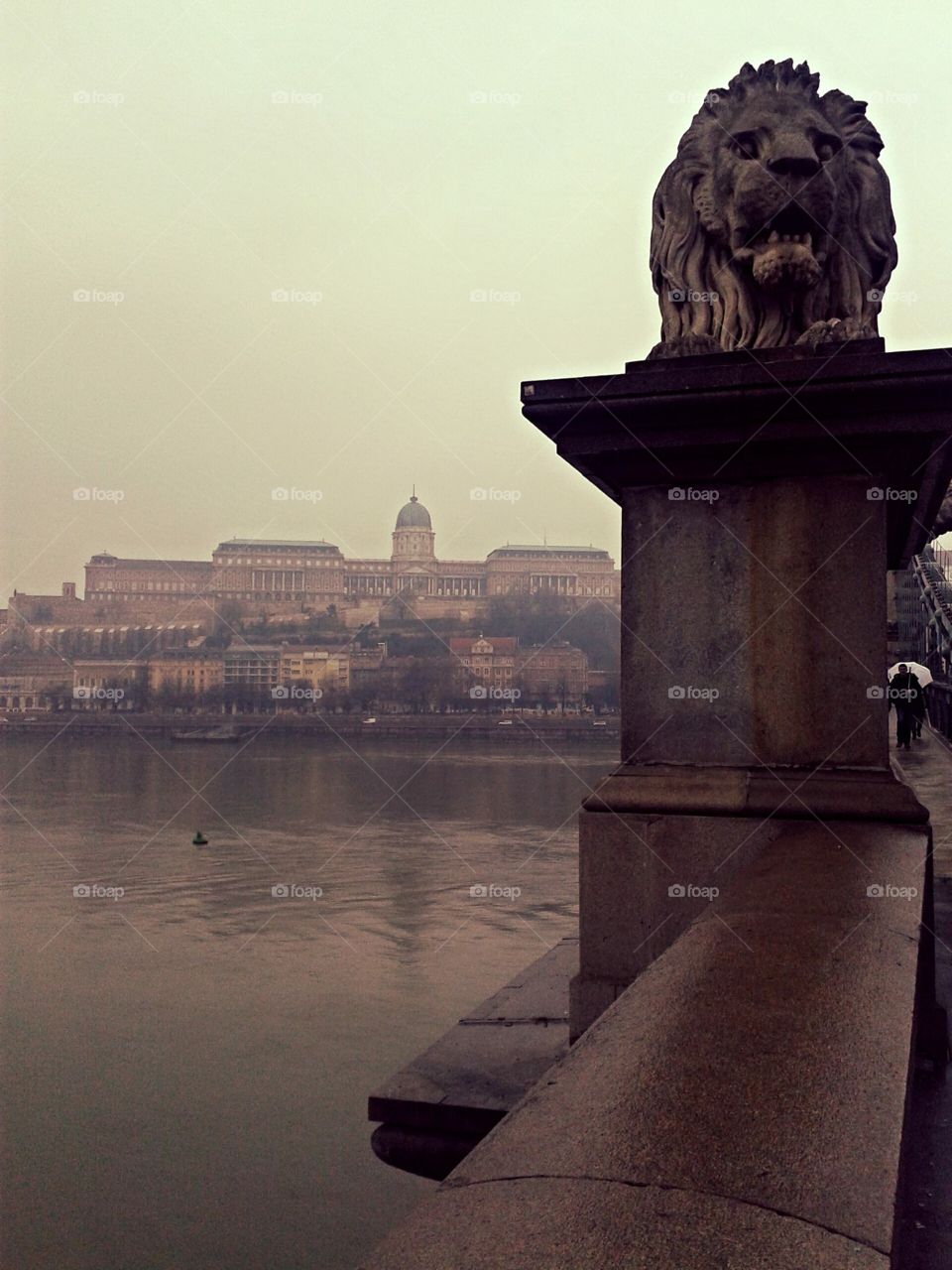 the chain bridge in view, gives a picturesque view of the buda castle