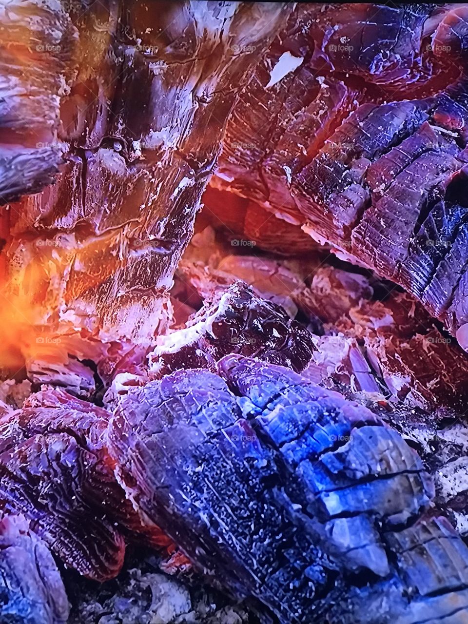 Washington Autumn Park 