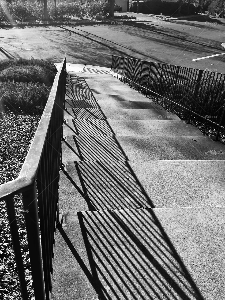 monochrome