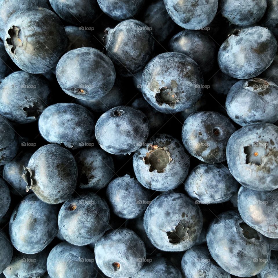 Fresh blueberries close up