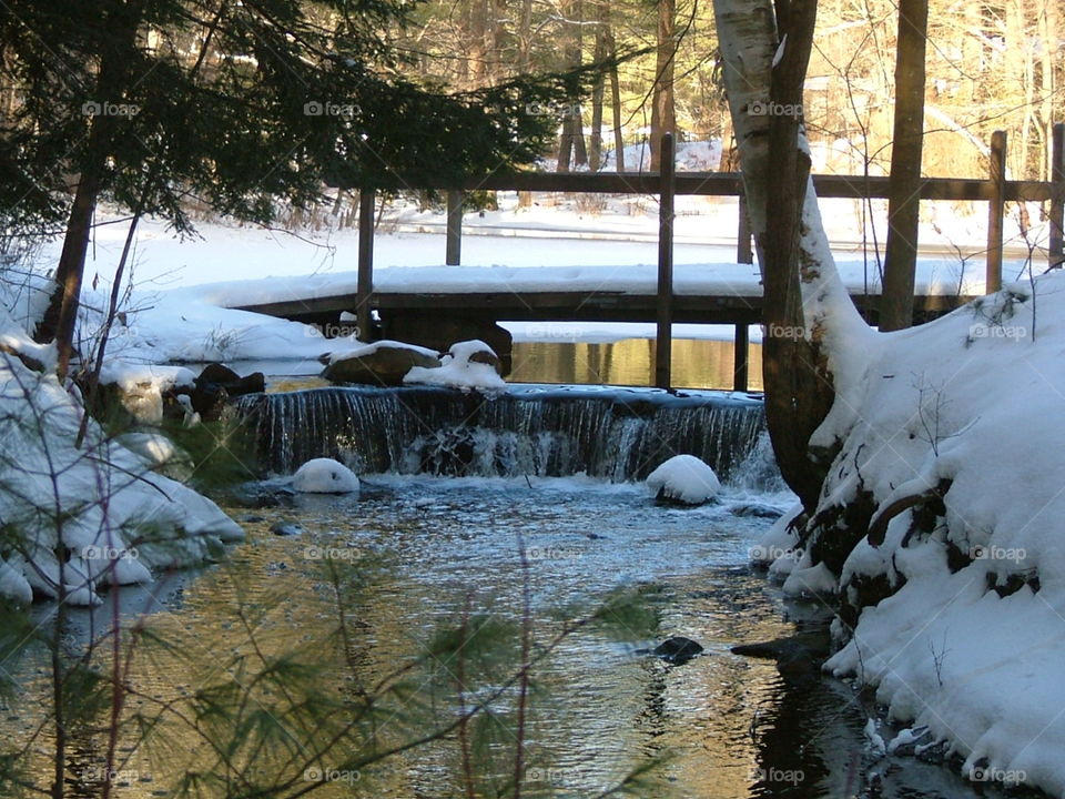 Camp Pond in winter