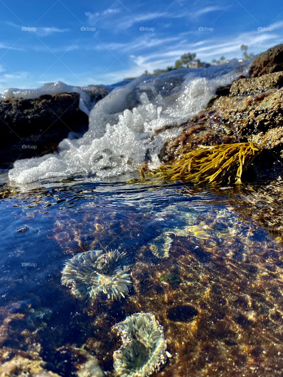 Wave hitting tide pool at Crescent Bay Beach 