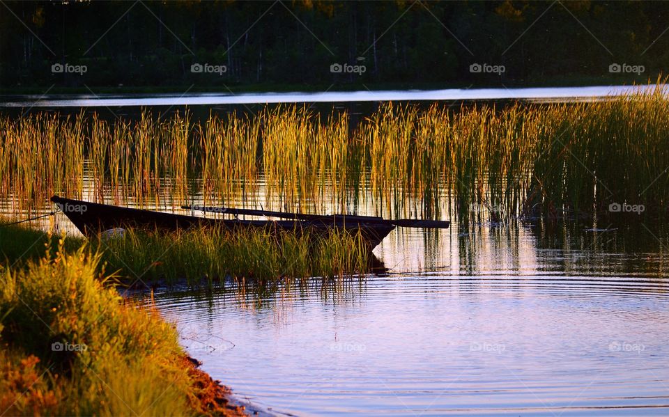 Beautiful lake. A lake in the evening with a small wooden boat