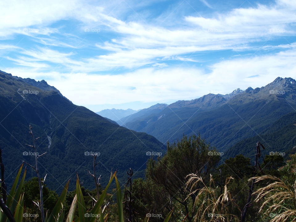view over the forest near Milford sound, new Zealand