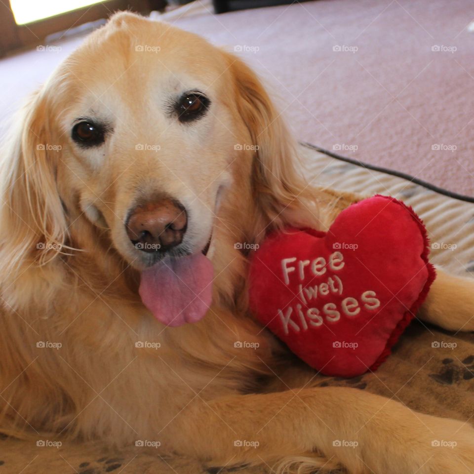 Free kisses