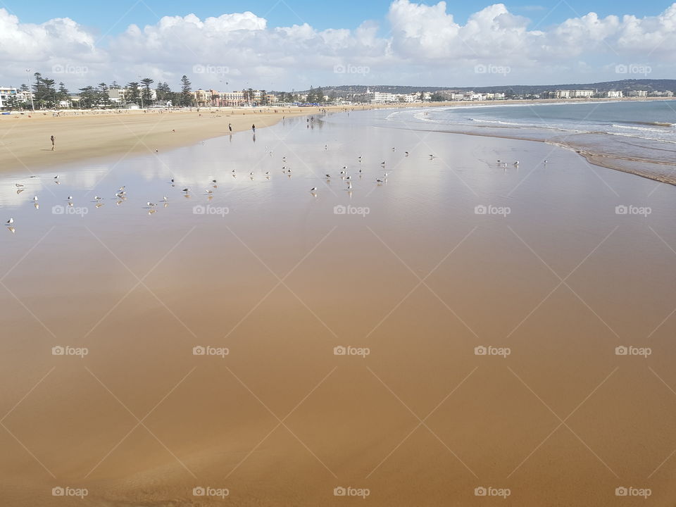 Essaouira beach, morocco