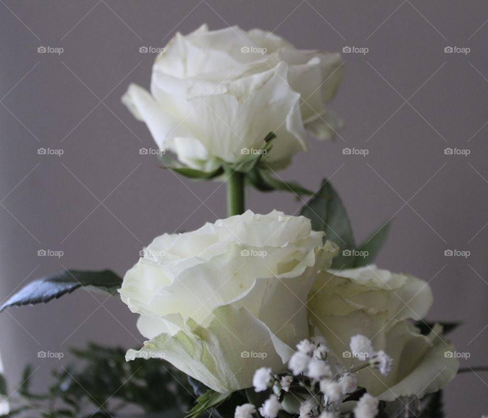 Bouquet of white roses 