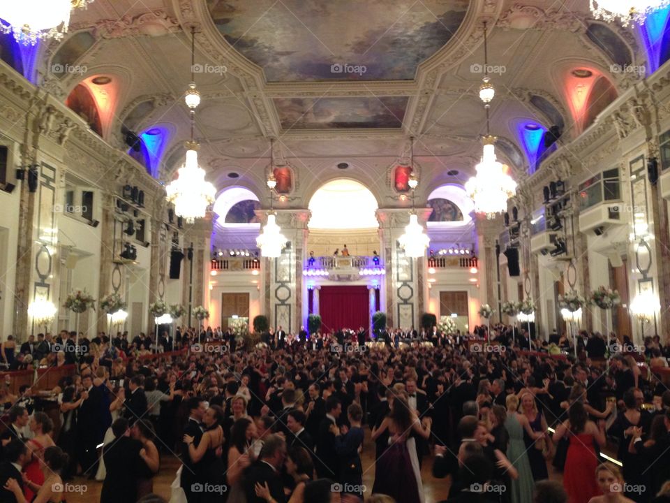 Vienna Ball
