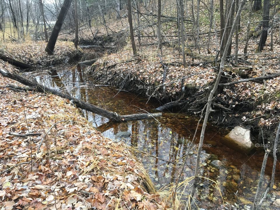 Small stream in the ravine. 