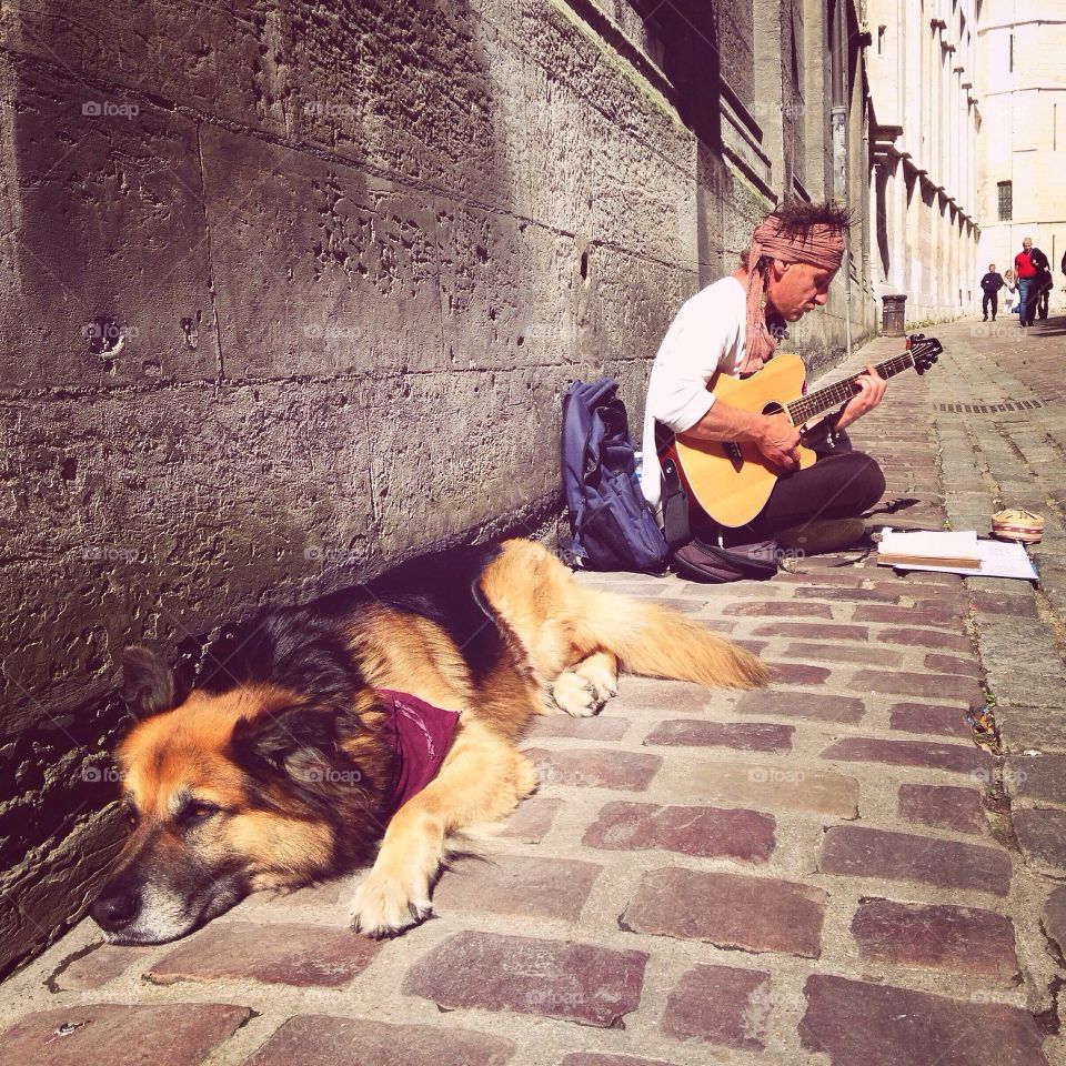 Dog with the street singer at the street 