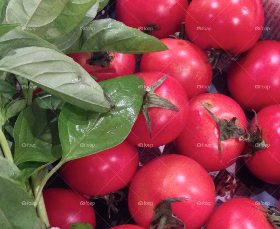 Tomato and basil 