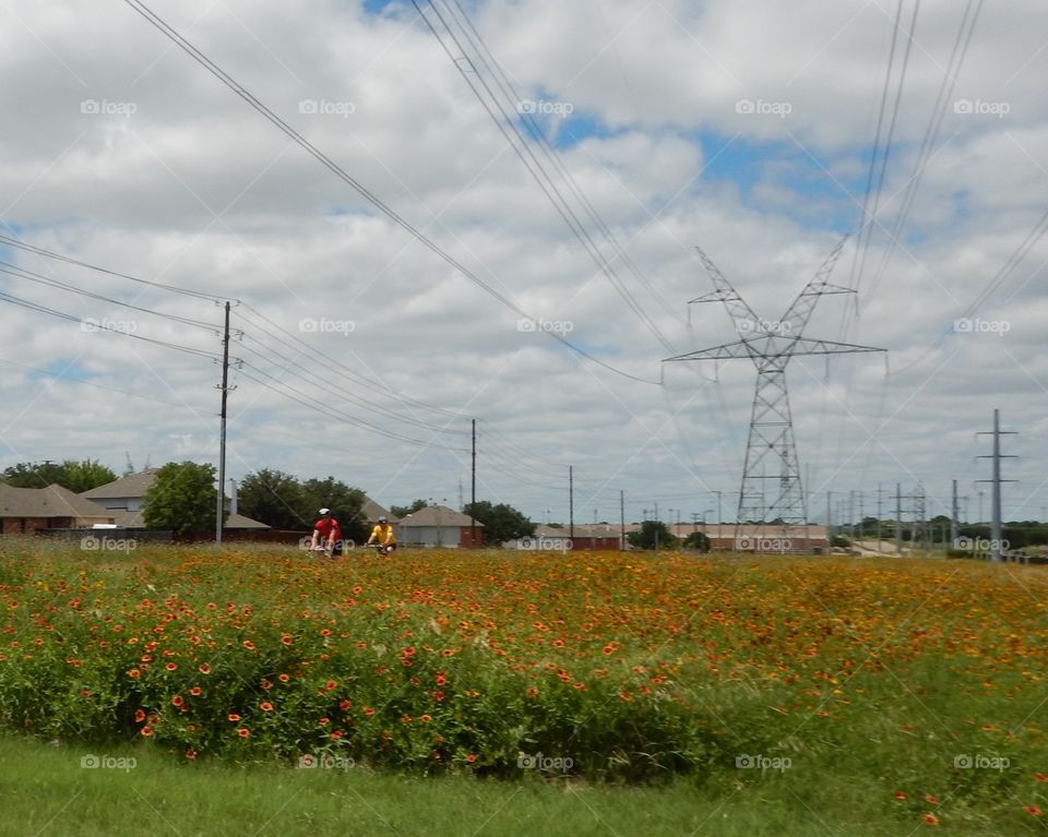 Relaxing ride. Flowers and bikes