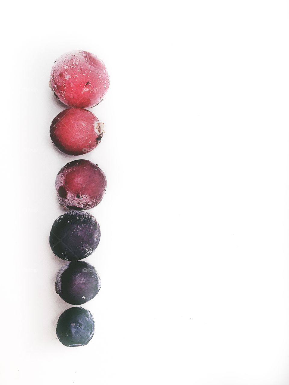 the gradient of cranberries