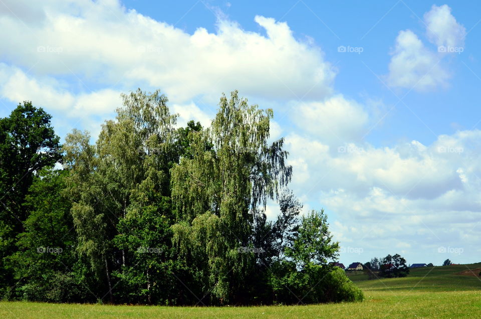 Landscape of Mazurian region in Poland