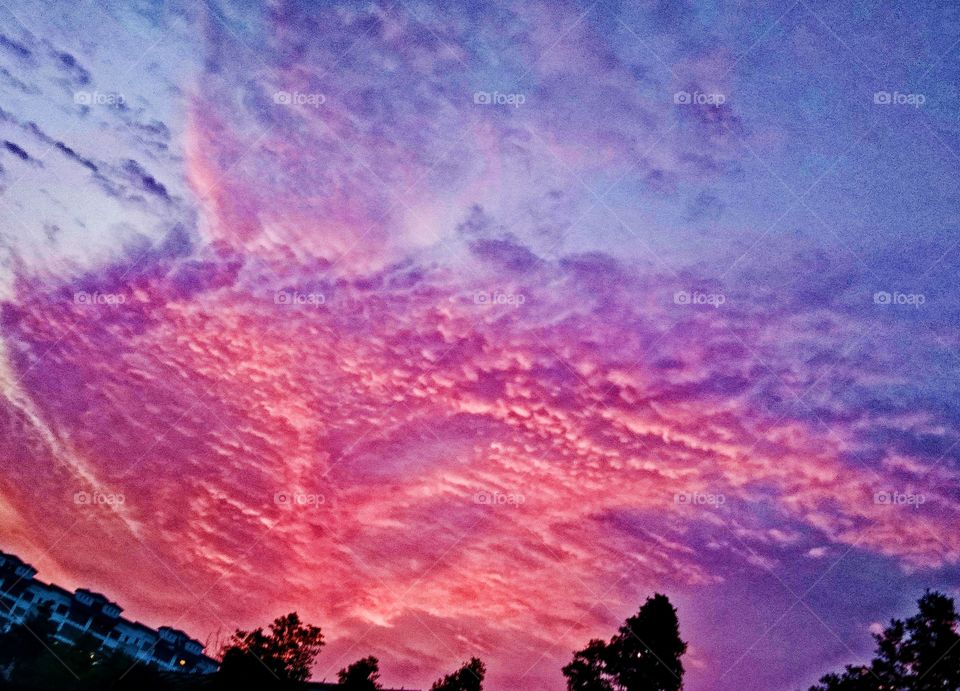 The colourful in the sunset .