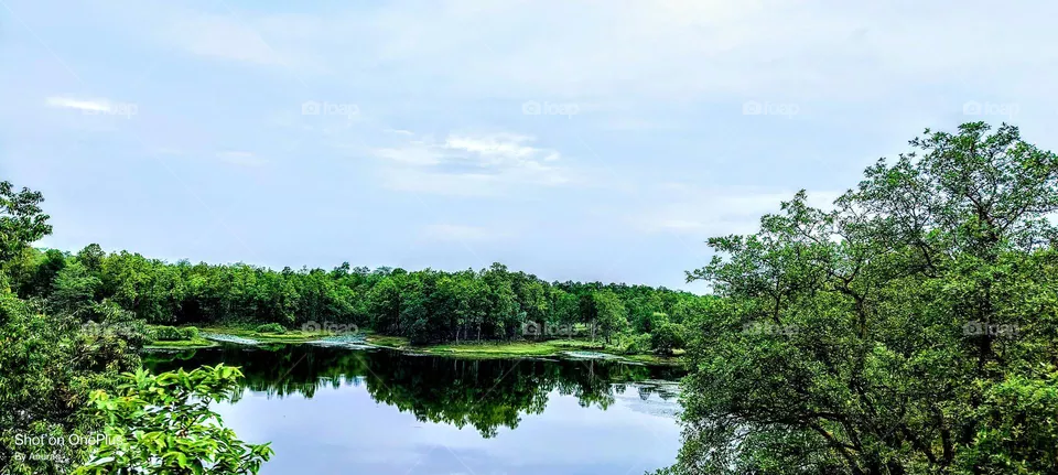 Lake view