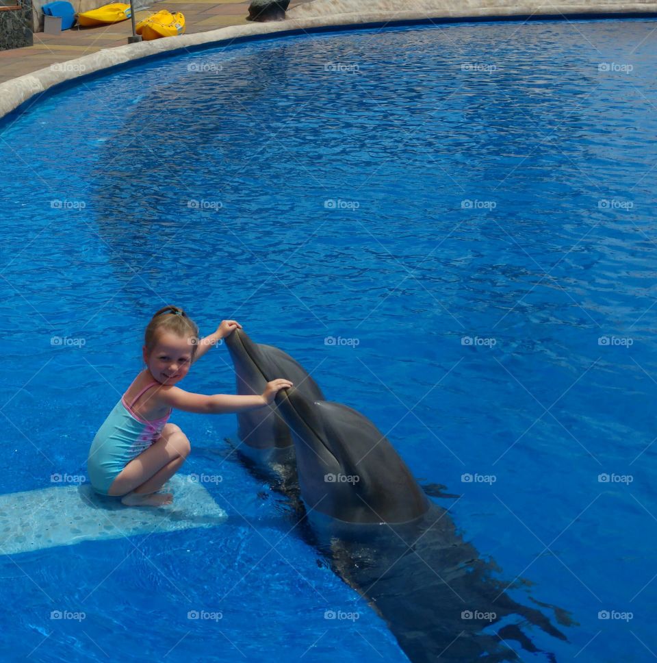 Girl touching two dolphins in pool
