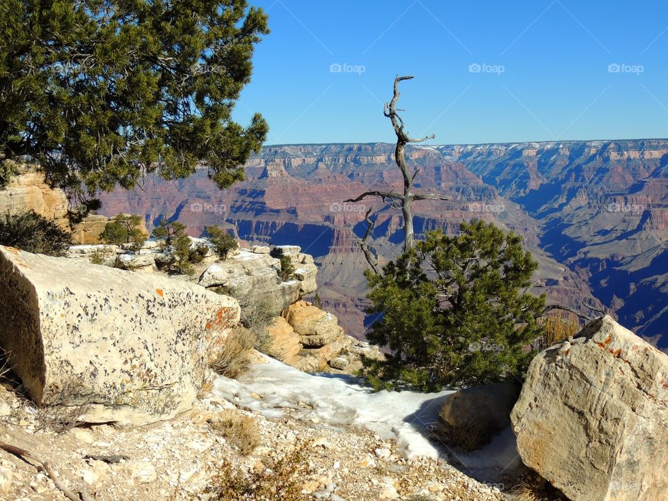 Grand canyon cliff. Grand canyon 