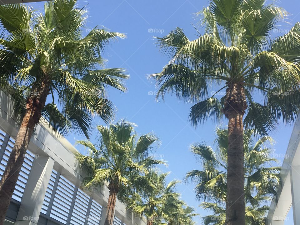 Long beach airport. The long beach airport view