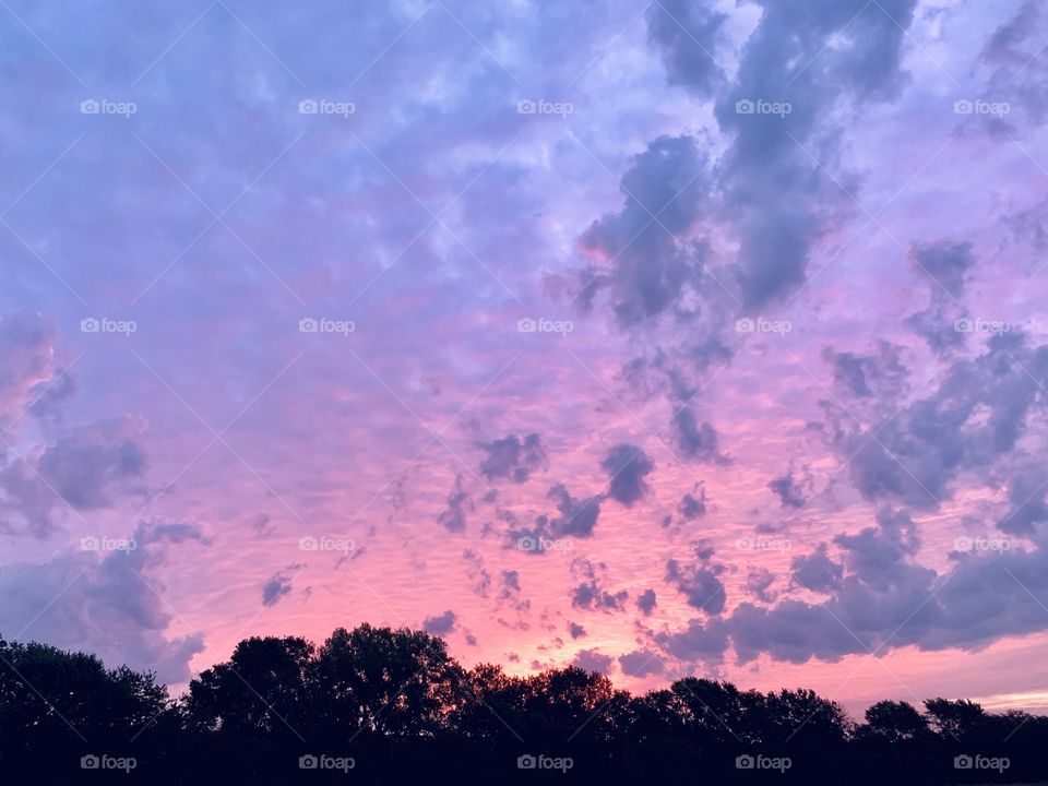 Small, puffy clouds in a beautiful lavender and pink sky over silhouetted trees at sunrise - landscape