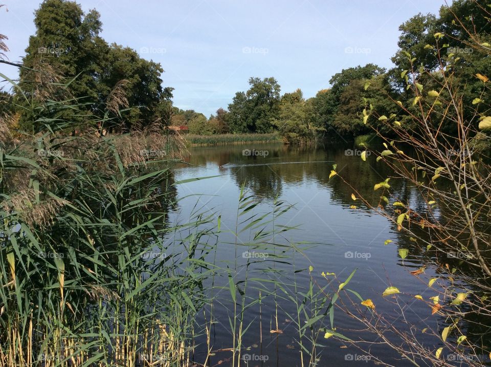 View across a pond on a beautiful October day