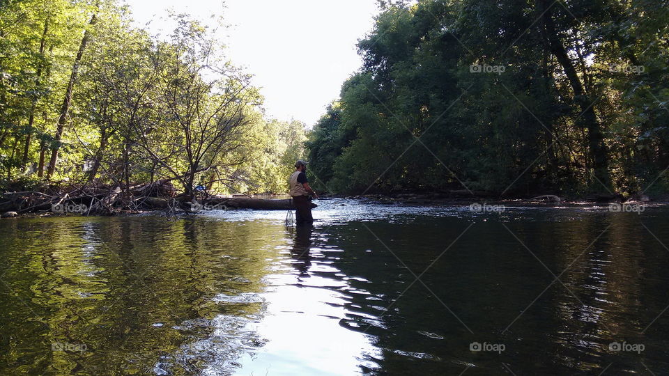 Fly fishing in summer creek