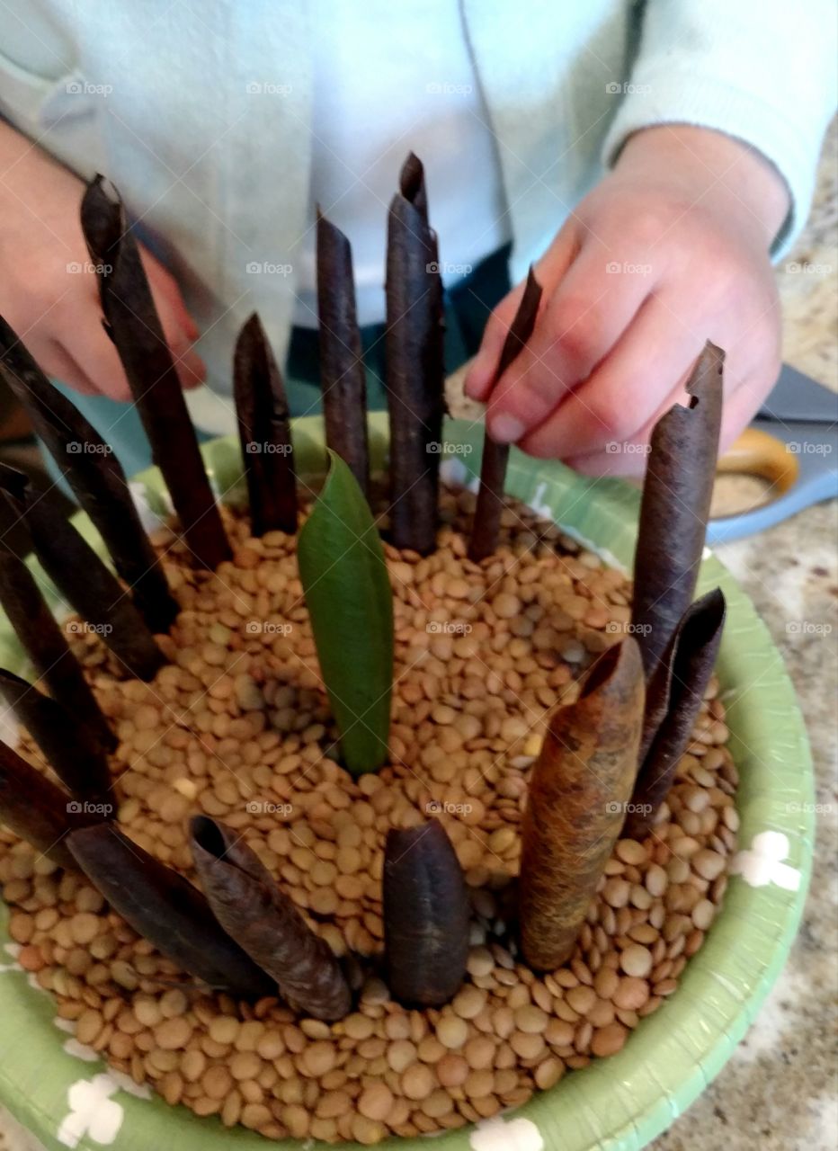 Working Hands Close-up