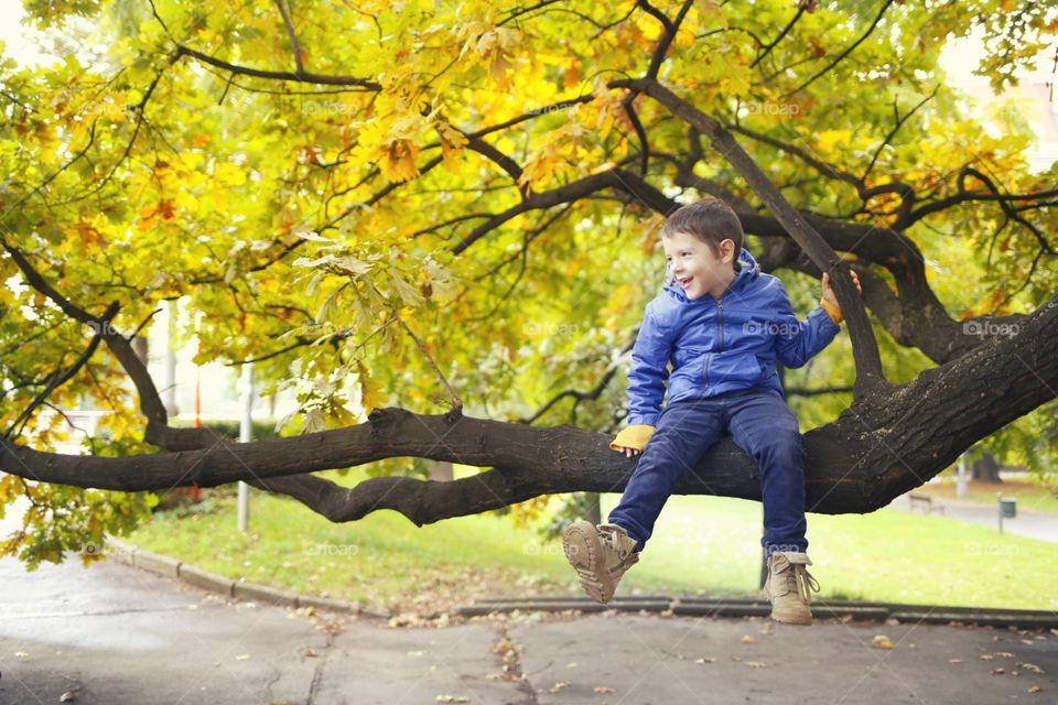 Autumn boy