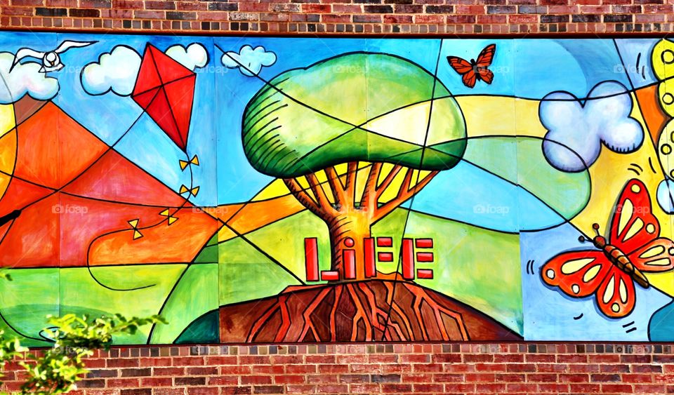 Life Graffiti 