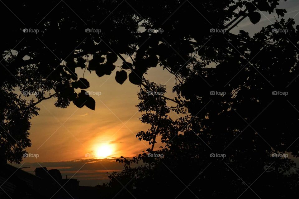 orange sunset in Poland