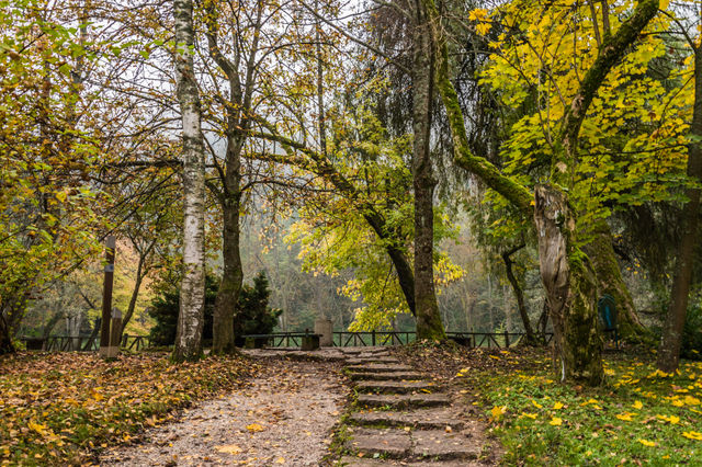 Pathway