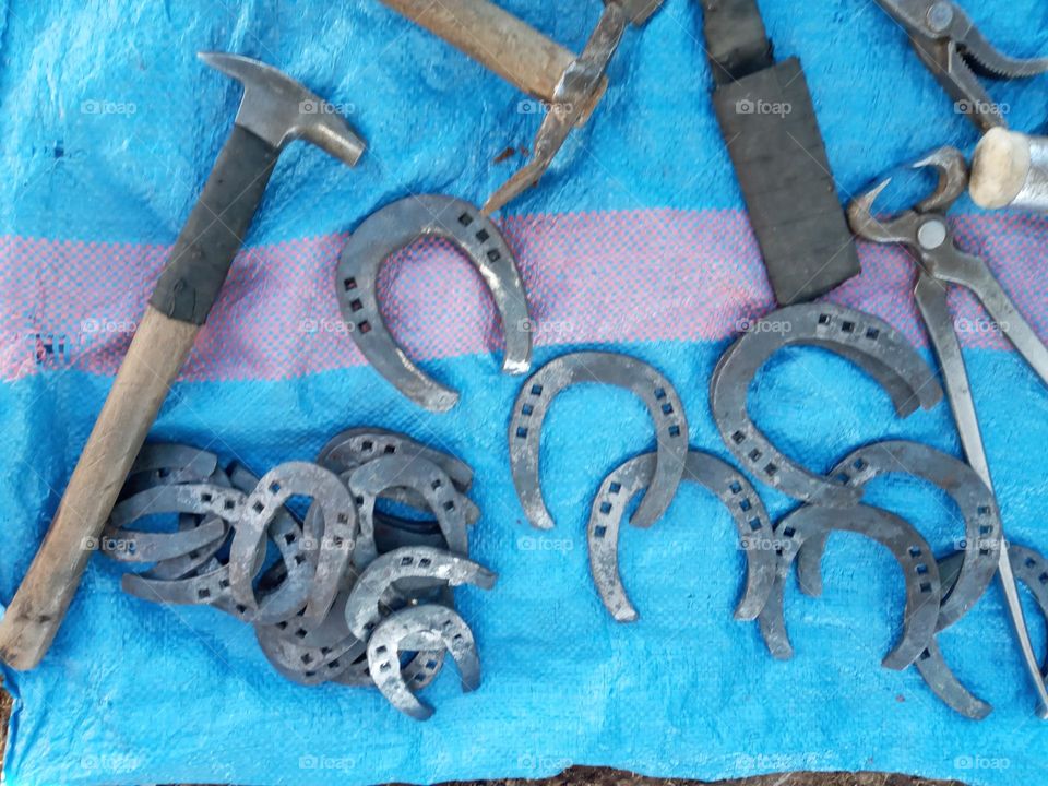 Animal plate repair tools