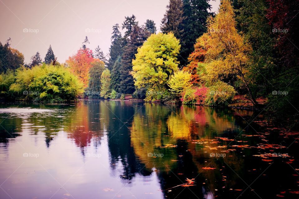 Reflection of autumn trees on lake