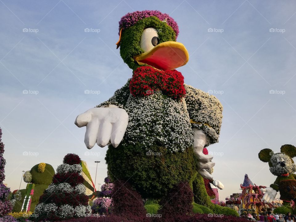 Dubai Miracle Garden