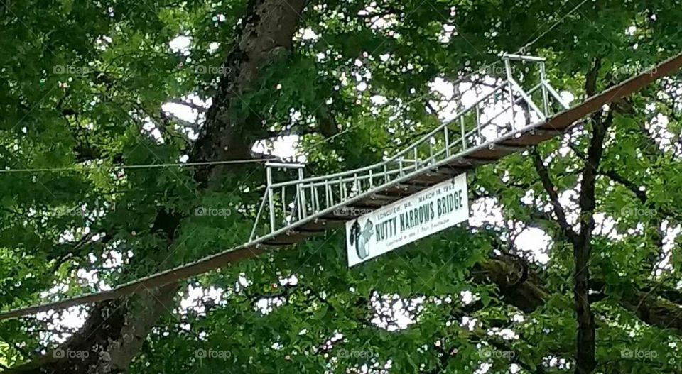 Squirrel Bridge, Longview, WA