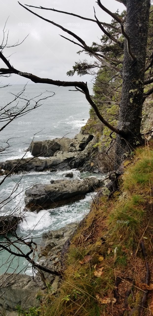 hiking Maine's Bold Coast in the fall